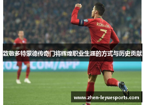 致敬多特蒙德传奇门将辉煌职业生涯的方式与历史贡献