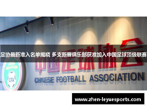 足协最新准入名单揭晓 多支新晋俱乐部获准加入中国足球顶级联赛 足协最新准入名单揭晓 多支新晋俱乐部获准加入中国足球顶级联赛