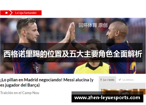 西格诺里踢的位置及五大主要角色全面解析