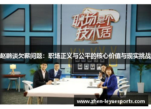 赵鹏谈欠薪问题：职场正义与公平的核心价值与现实挑战